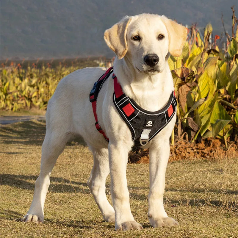 Adjustable Dog Harness Walking Chest Vest